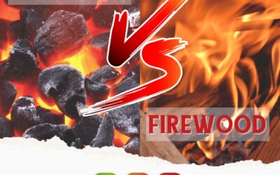 CHARCOAL VERSUS FIREWOOD: THE NEVERENDING DEBATE